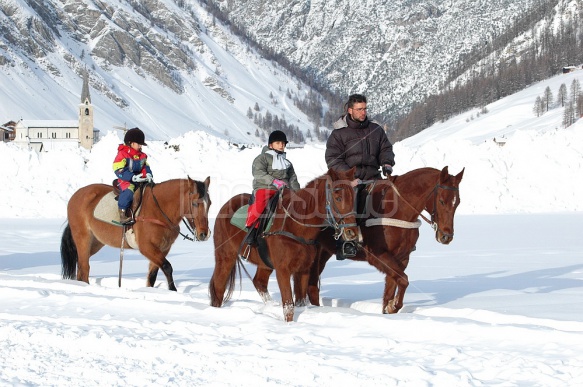 Horses & People in Winter Livigno, Italy