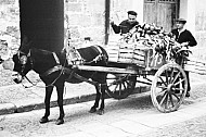 Vegetable Sellers, Sicily, Italy