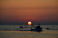 Sunrise, Port of Trani, Apulia, Italy