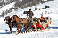 Horses & People in Winter Livigno, Italy