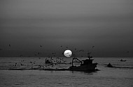 Sunrise, Port of Trani, Apulia, Italy