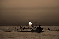 Sunrise, Port of Trani, Apulia, Italy