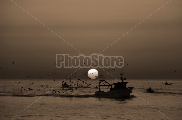 Sunrise, Port of Trani, Apulia, Italy