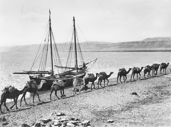 Camel Caravan with Boat, Dead Sea, Palestine