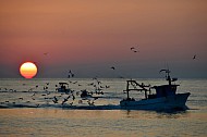 Sunrise, Port of Trani, Apulia, Italy