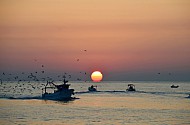 Sunrise, Port of Trani, Apulia, Italy