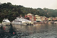 Harbour in Portofino, Italian Riviera, Ligury, Italy