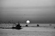 Sunrise, Port of Trani, Apulia, Italy