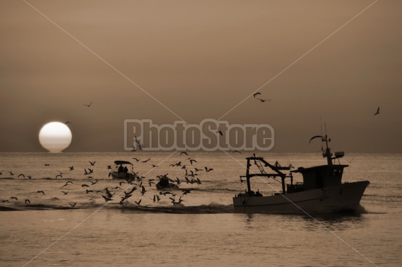 Sunrise, Port of Trani, Apulia, Italy