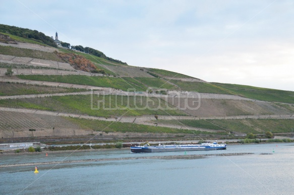 Rhine by Bingen, Mainz-Bingen District, Rhineland-Palatinate, Germany