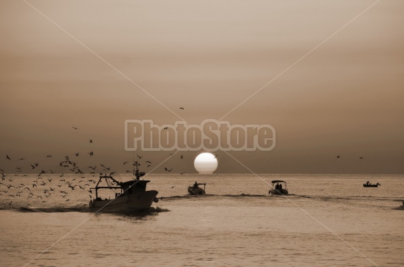 Sunrise, Port of Trani, Apulia, Italy