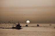 Sunrise, Port of Trani, Apulia, Italy