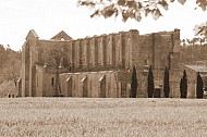 Abbey of San Galgano, Province Siena, Italy