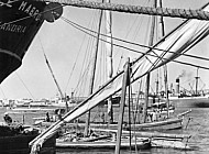 Boats, Alexandria