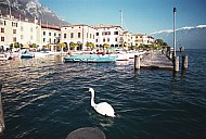 Acqua Alta, High Water, Gargnano, Lake Garda