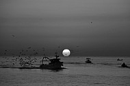 Sunrise, Port of Trani, Apulia, Italy