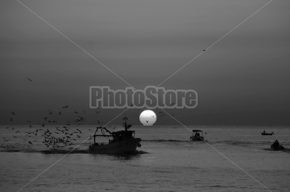 Sunrise, Port of Trani, Apulia, Italy