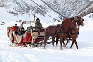 Horses & People in Winter Livigno, Italy