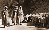 Oriental types, Arabic Shepherds in Casablanca